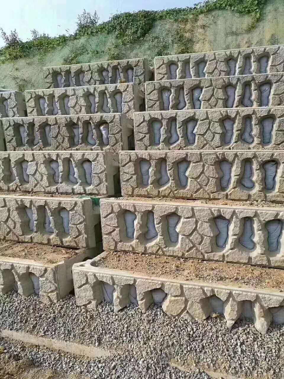 ̬ (1).jpg